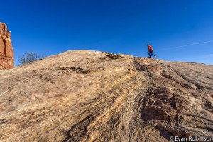 24707967182_dc6024f904_z