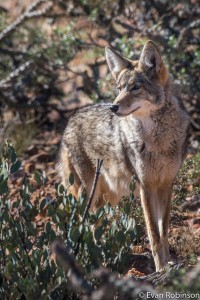 24710481592_eeb1a7bb73_z