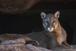 24735577531_a61bcbf82e_z